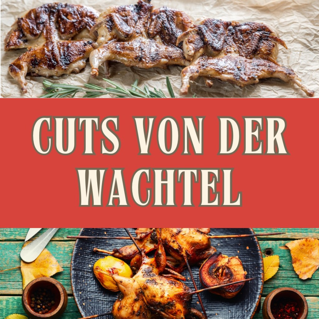 Cuts von der&nbsp;Wachtel